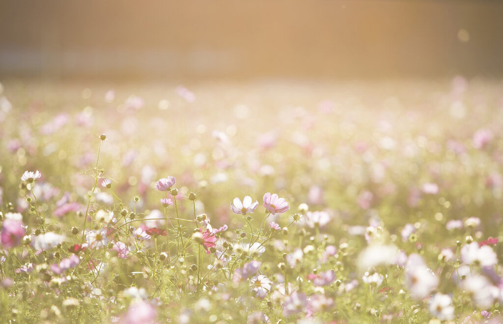 Psychologische Yogatherapie Hamburg